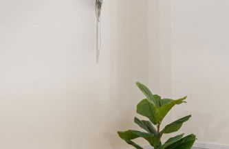 Magnolia Retreat - Foto 34