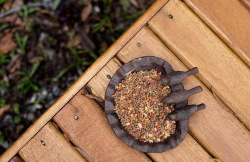 Alugo minha casa na floresta! - Foto 15