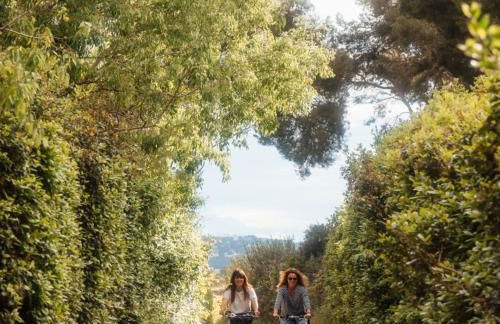 Eco-Friendly Cottage In Frontignan Wine Estate - Foto 20