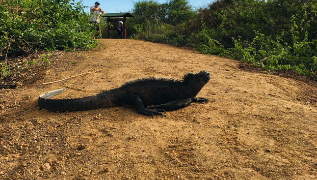 Charles Darwin Research Station Tour - Foto 5