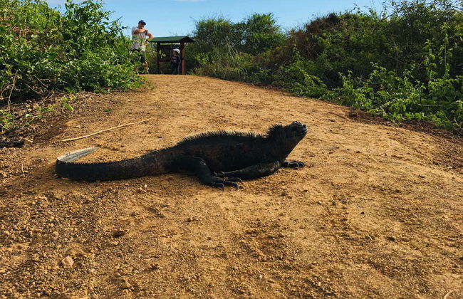 Charles Darwin Research Station Tour - Photo 5