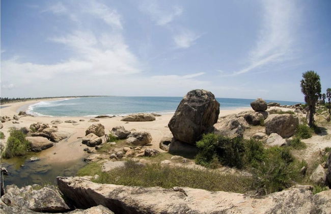 Surf N Sun - Foto 25