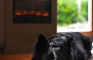 Ferienwohnung Maierers Schaiere - Foto 8