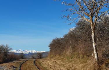 Gîte de la Croix du Bonhomme à Champeix - Photo 16