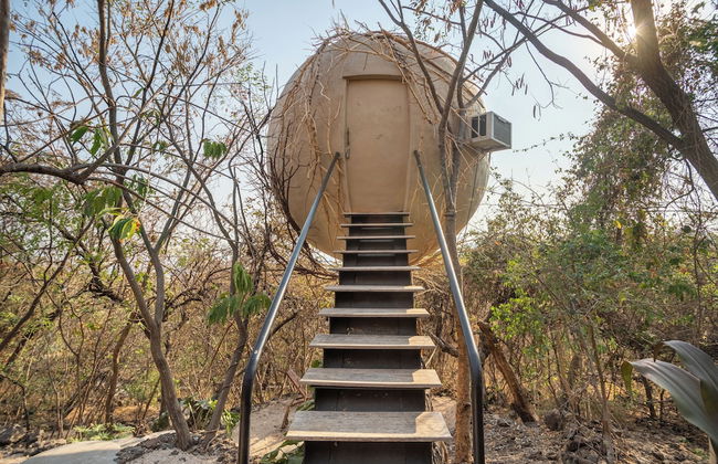 Bosque Geométrico - Foto 68