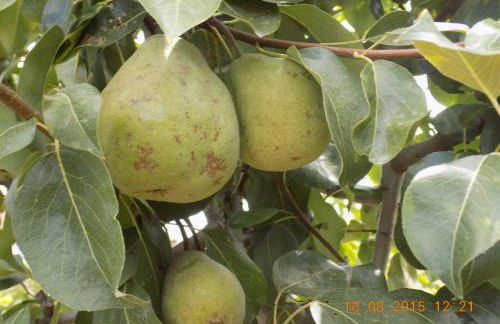 Casarao dos Reis - Foto 28