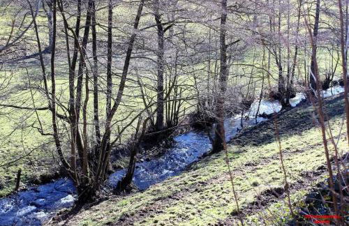 Lui's Ferienwohnung - Foto 11