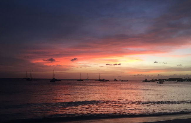 Barbados Chi Guest House - Photo 79