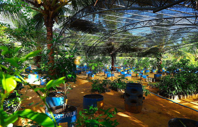 Reecha Kurinji Resort - Foto 16