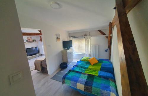 Kamienica "Pod dębem" - Foto 11