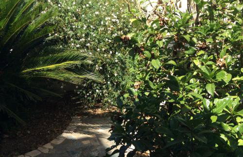 Villa Serena - Foto 35