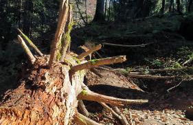 Ferienwohnung Allgäuerle 1604 Ski in Ski out an der Skipiste mit Hallenbad Sauna - Photo 43