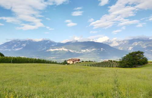 APPARTAMENTO TOMA MIHAELA - Photo 30