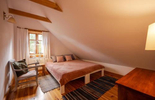 Butterfly Factory - Foto 20