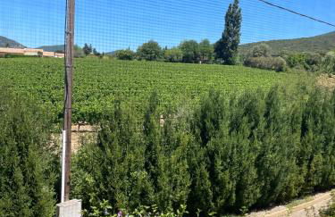 Maison des lavandes - Photo 12