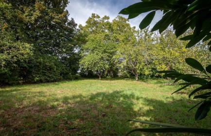 Le Petit Mona Céléna - Foto 22