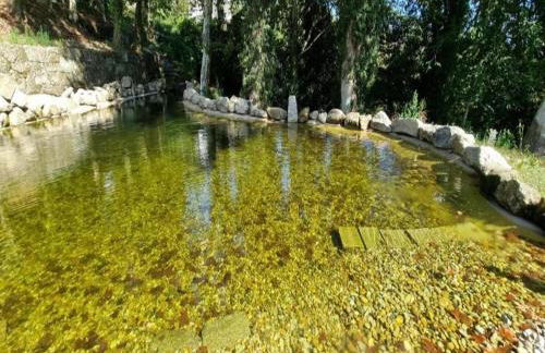 Forest Hideaway Near Douro Valley - Foto 23