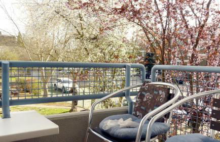 FeWo Wedemann 55543 Bad Kreuznach - Foto 7