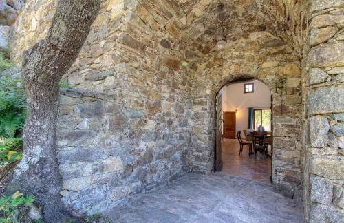 Le Campu Latinu - Foto 19