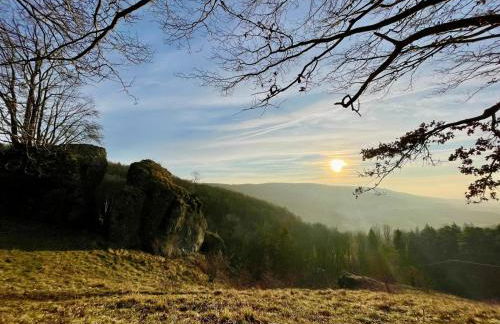 Ferienwohnung Ameis - Foto 17