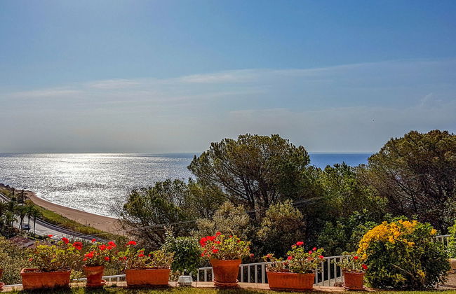 La Marina Blanca - Foto 31