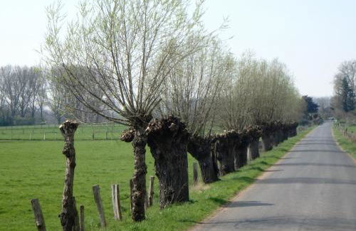 Ferienwohnung Knusperhaus - Foto 35