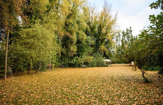 Molinos de Fuenteheridos - Photo 32