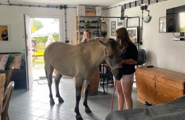 Winnica Bursztynowa - Foto 19