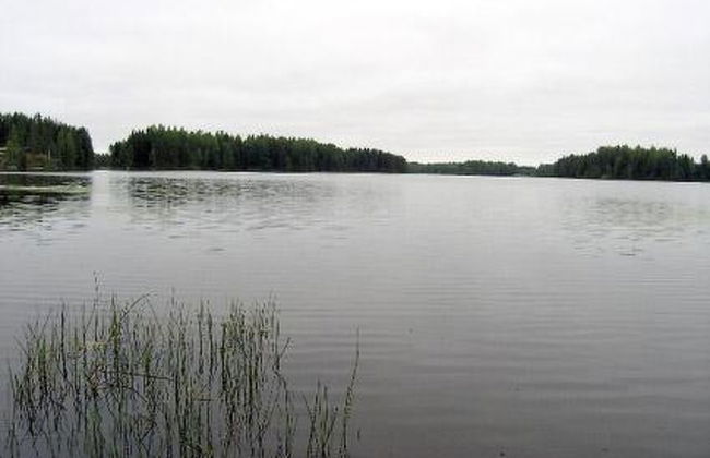 Kärkelä - Foto 9