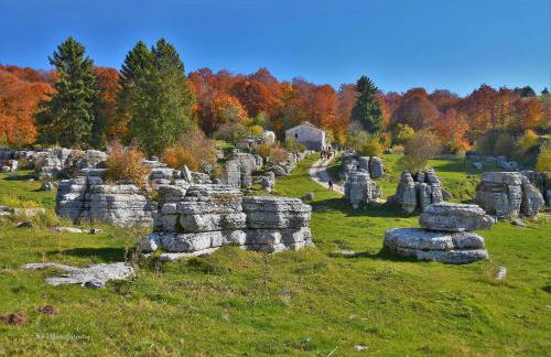 Dimora del Melograno - Photo 37