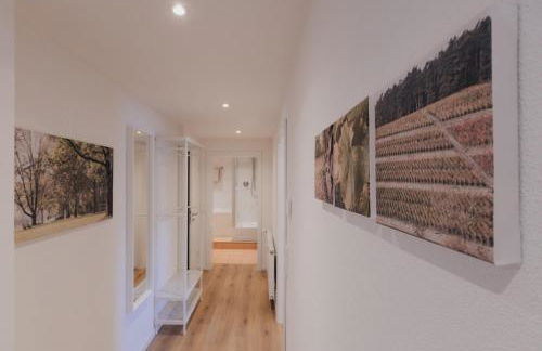 Bürgstadt, Am Bischof mit Sonnenterrasse, 1 bis 4 Betten - Foto 44