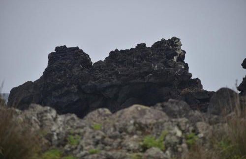 Casa Cruzeiro AL - by the sea OCEANTUR - Photo 35