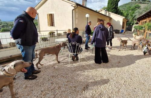 SetterHouseAgriHotel - Photo 34