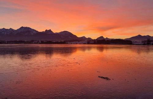 at the Seehotel Hartung - Foto 36