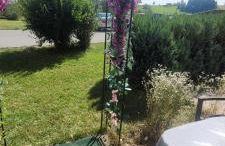 Maria Altreichenau - Foto 18