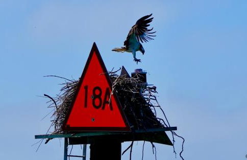 Charming 1940s Daybook Cottage on the Florida Hidden Coast - Foto 44