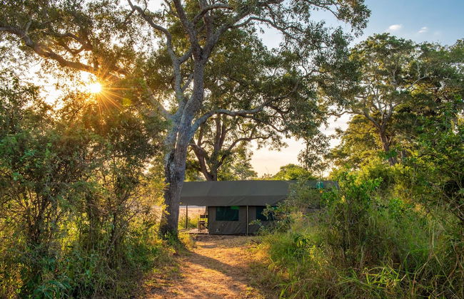Kruger Untamed - Tshokwane River Camp - Photo 3