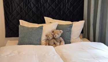 Appartements "Siebter Himmel" & "Wolke Sieben" Rosendomizil - Foto 2