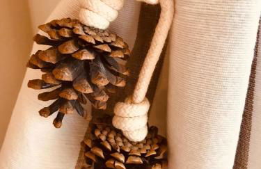 Cocon entre presqu'île du Cap Ferret et plages océanes - terrasse - 1 vélo gratuit - Foto 44