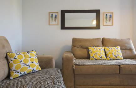 Pico Limón - Living Toledo - Foto 8