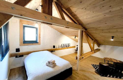 Cocon de caractère au cœur des vignes Alsaciennes - Foto 9