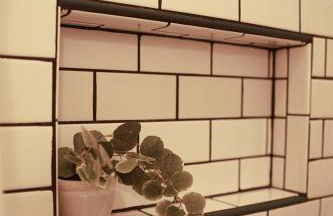 Salted Roots Basecamp - Foto 67