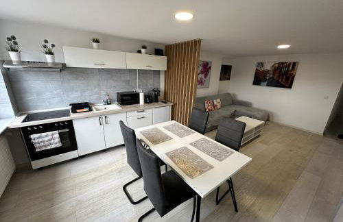 Moderne FerienWohnung NeuBau Merzig - Foto 55