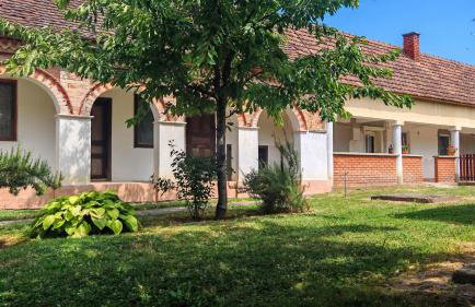 Holiday House Slavonska oaza - Foto 18
