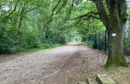 Gîte au Pied du Bischenberg - Foto 39