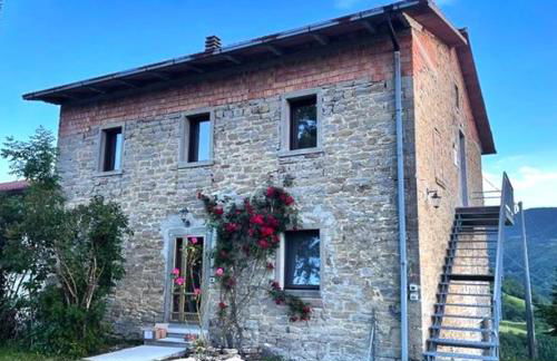 Bosco Stellato - Foto 1