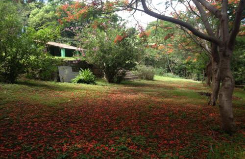 Casa do Ney - Foto 34
