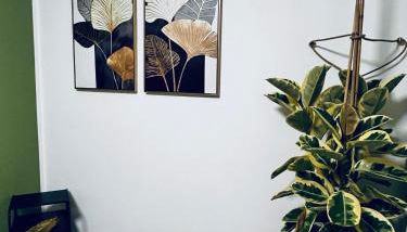 Amanecer Isleño Apartamentos - Foto 2