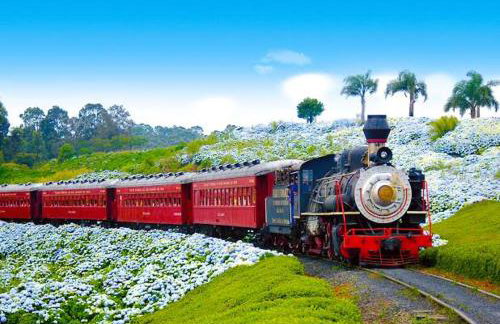 Hospedagem Don Panizzi - Foto 26