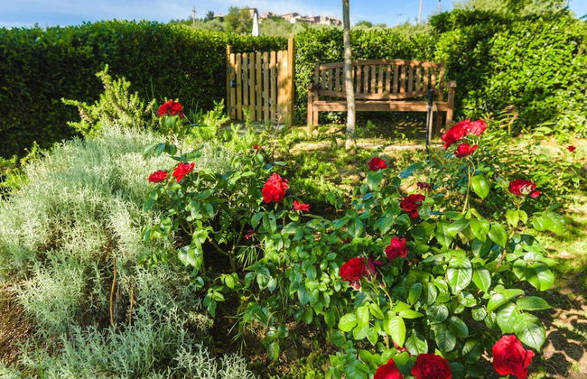 Podere La Montalla - Photo 58